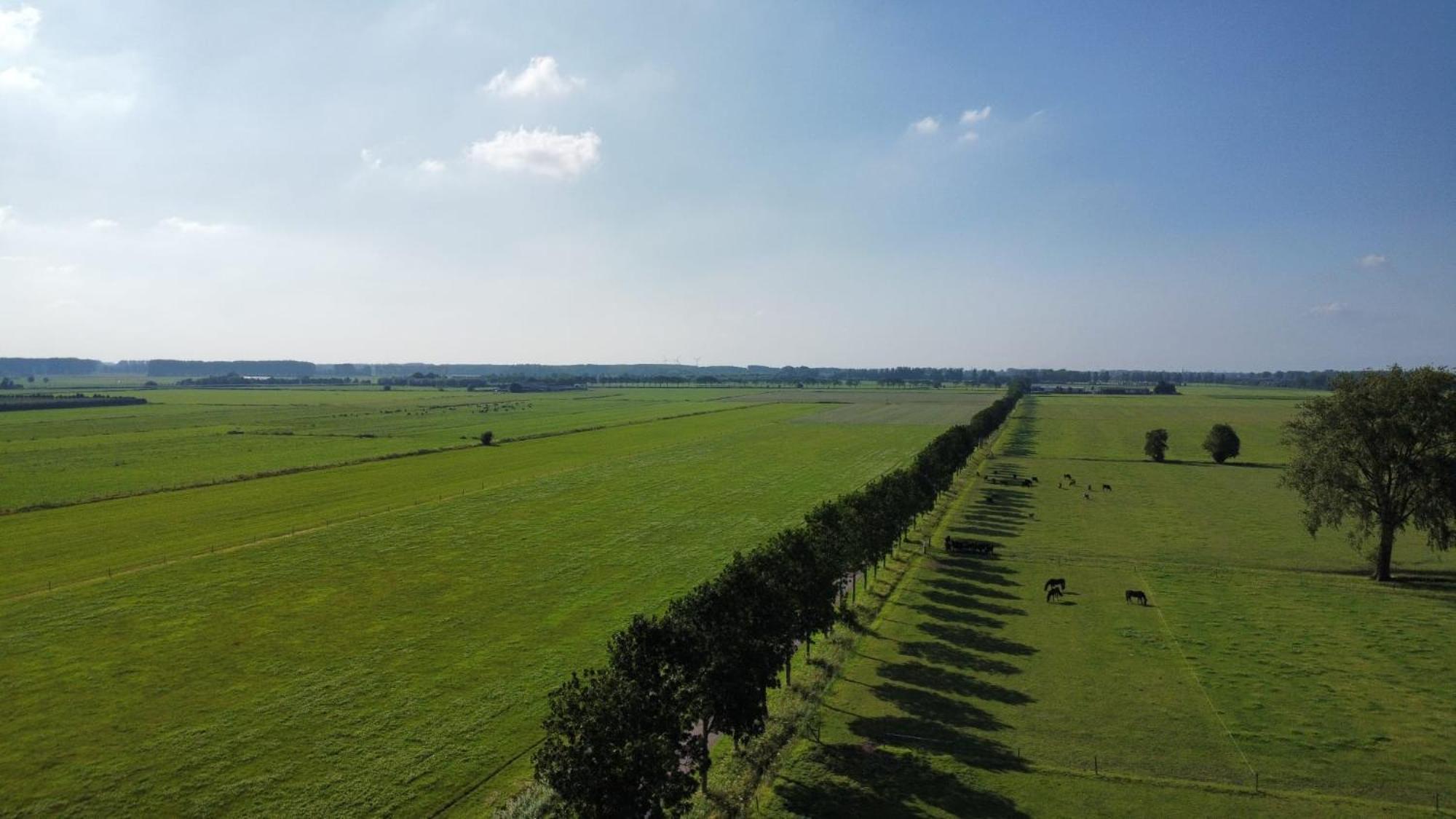 Landelijke Huis In De Betuwe Tricht Exteriér fotografie