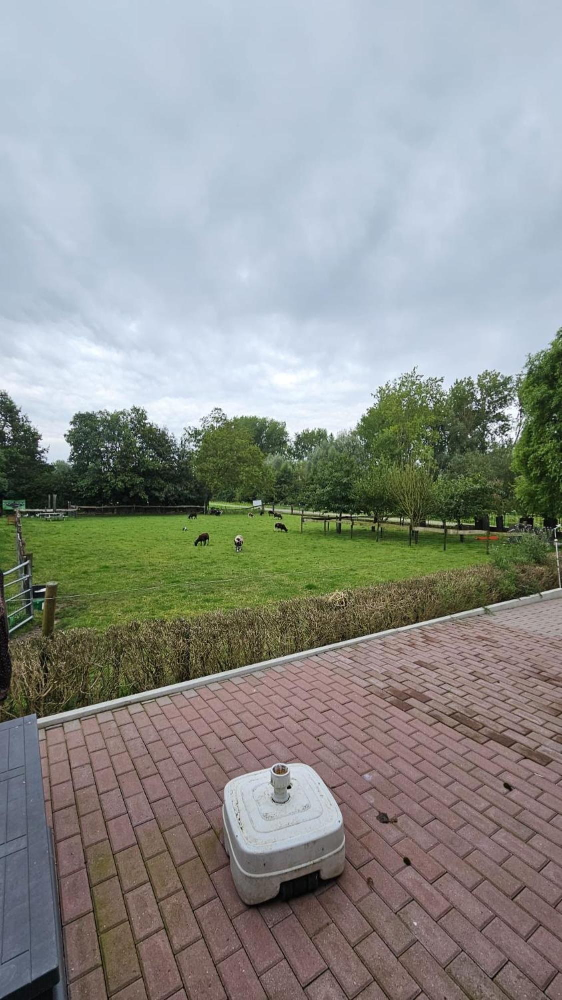Landelijke Huis In De Betuwe Tricht Exteriér fotografie